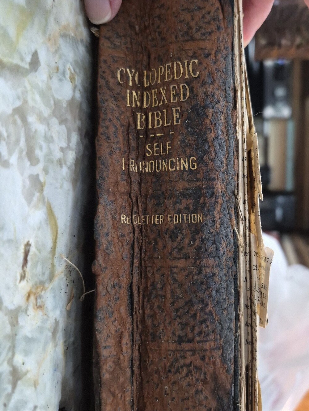 Vintage Hertel Cyclopedic Indexed Bible Self Pronouncing Red Letter Edition